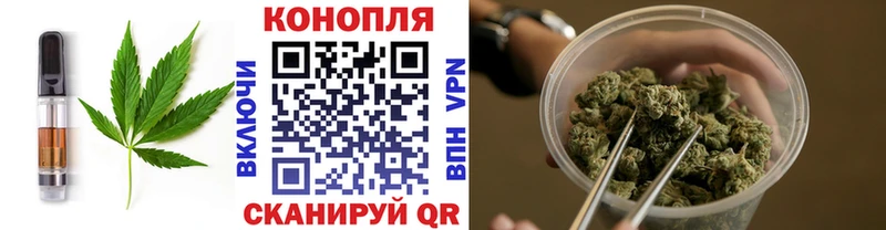 Купить где  Калачинск  Cannafood конопля 