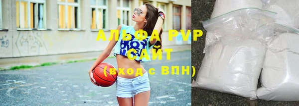 прущие грибы Инсар