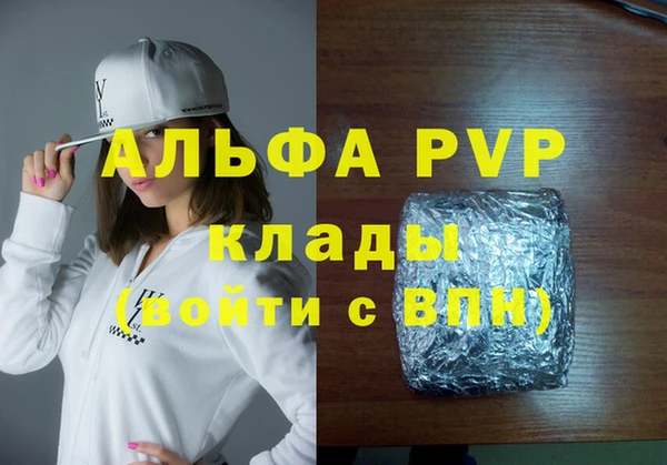 прущие грибы Инсар