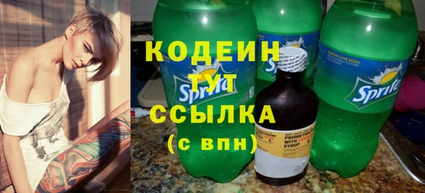 прущие грибы Инсар