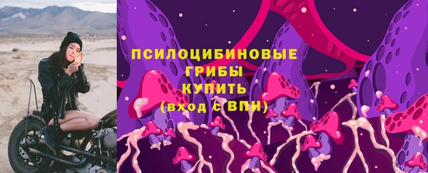 прущие грибы Инсар