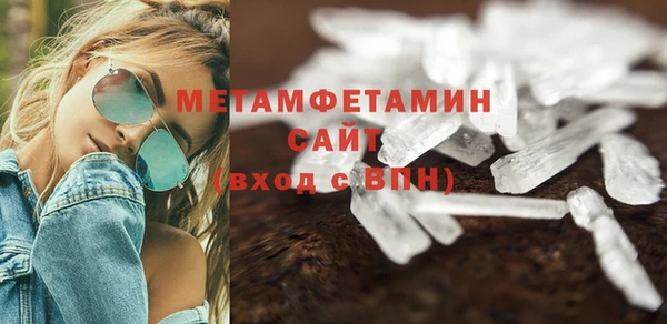 прущие грибы Инсар