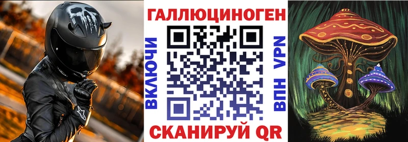 Купить  Калачинск  Псилоцибиновые грибы Psilocybe 